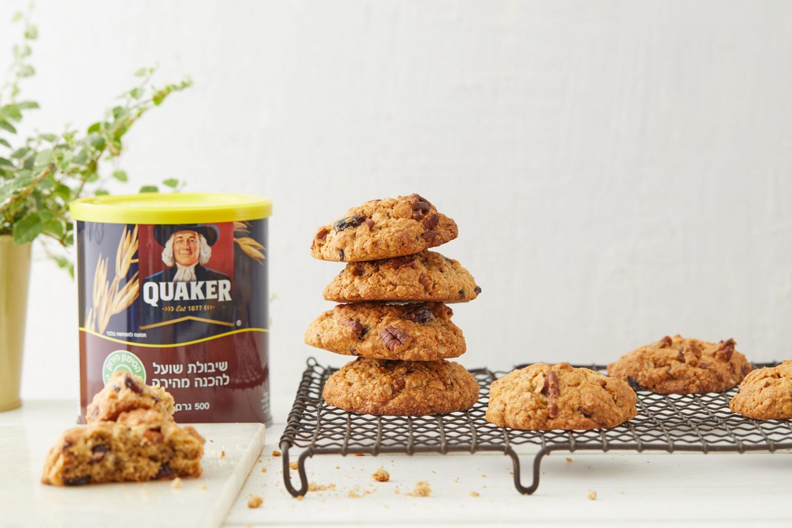 עוגיות שיבולת שועל טבעוניות עם חמוציות ופקאנים